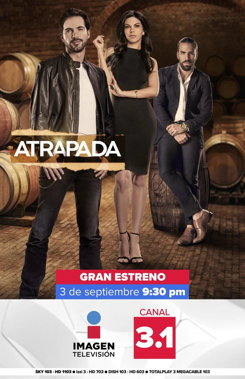 постер Atrapada