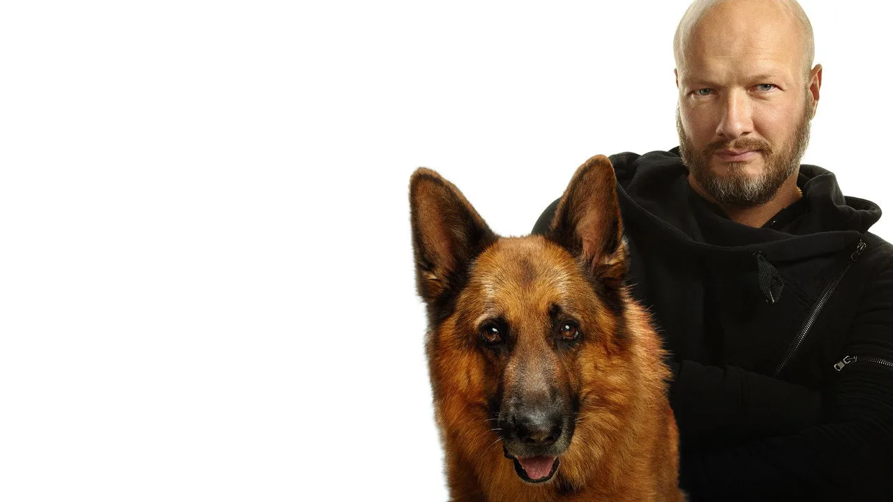 Dog için arka plan görseli