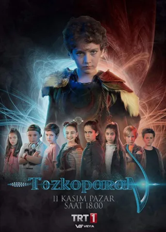 ملصق Tozkoparan