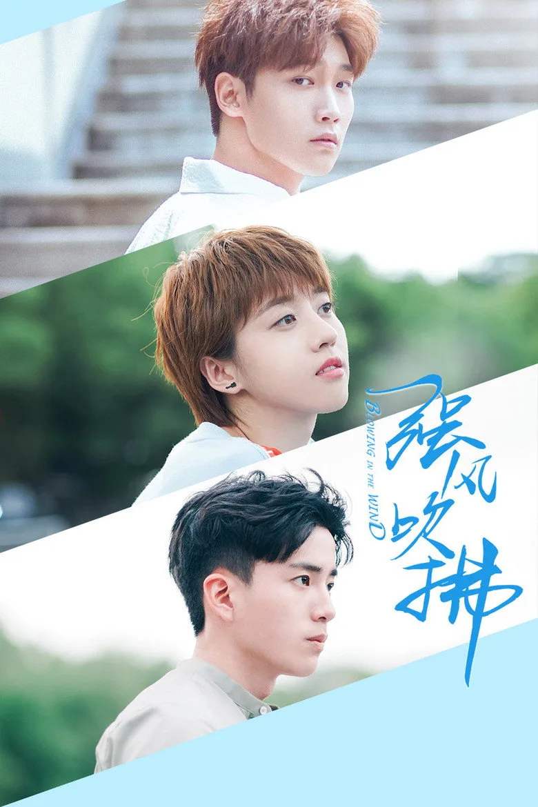 Blowing in the Wind poster