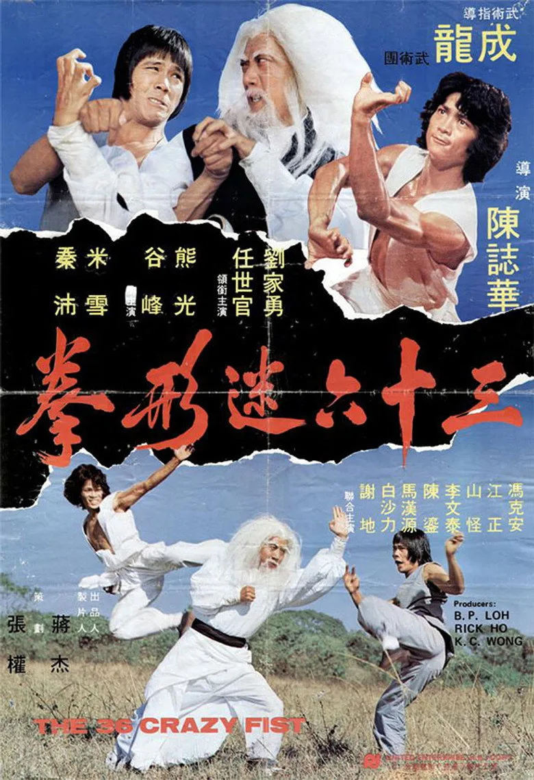 The 36 Crazy Fists poster