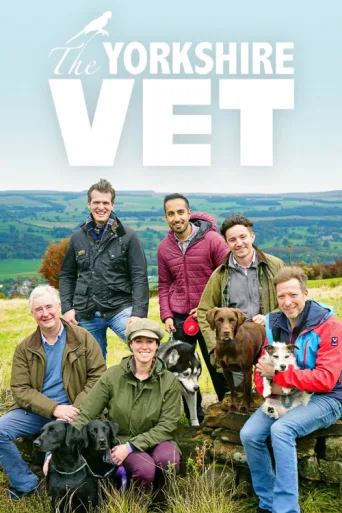 Постер The Yorkshire Vet