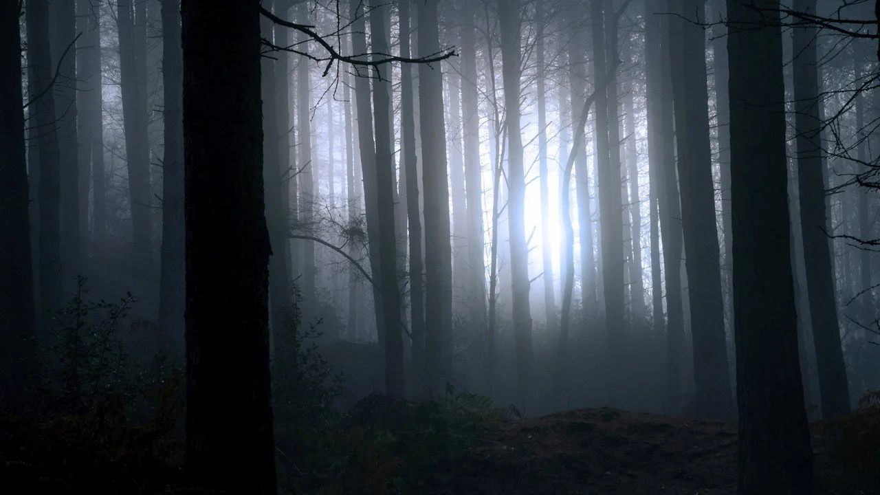 خلفية لـ Finding Bigfoot