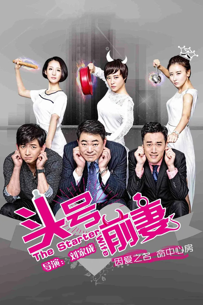 The Starter Wife posteri