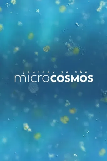 Постер Journey to the Microcosmos