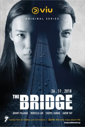 Póster de The Bridge