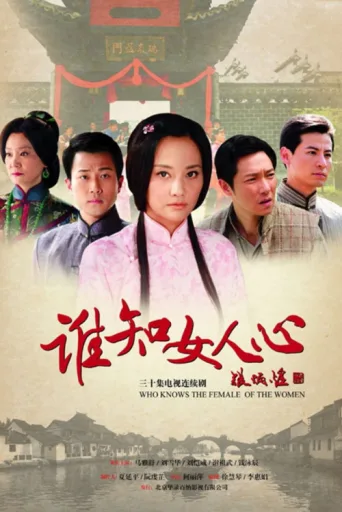 谁知女人心 afişi