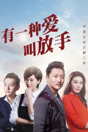 有一种爱叫放手 afişi
