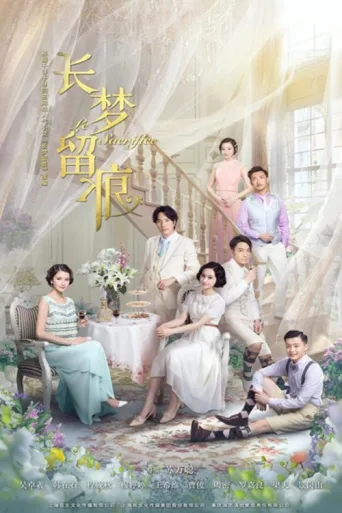 ملصق 长梦留痕