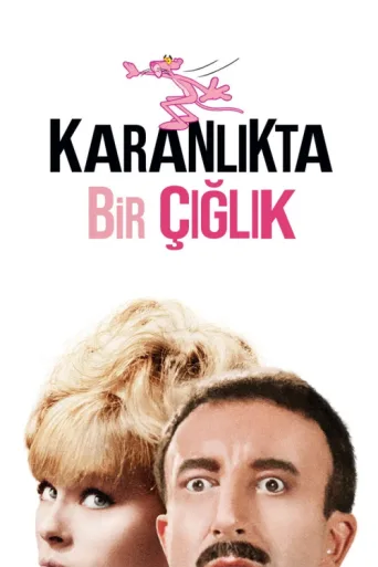 ملصق Karanlıkta Bir Çığlık