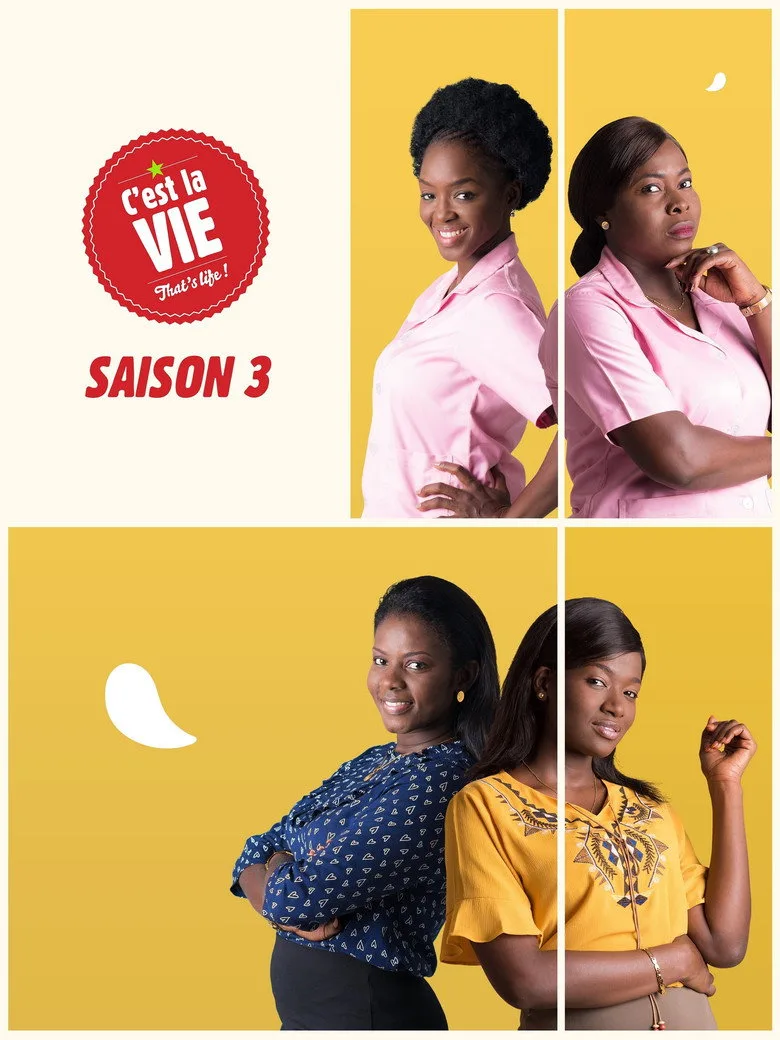 C'est la vie ! poster