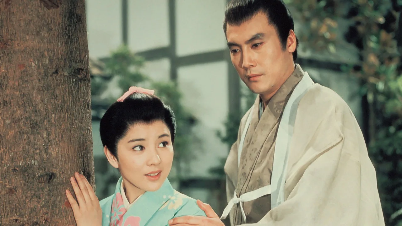 Mominoki wa Nokotta için arka plan görseli