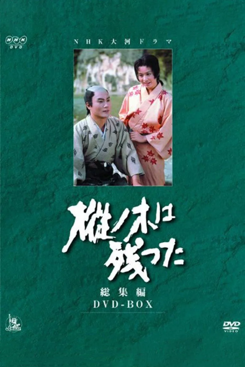 Mominoki wa Nokotta posteri