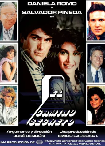 Póster de El camino secreto