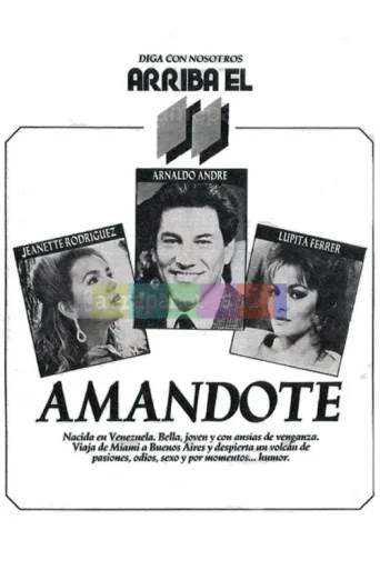 Póster de Amándote