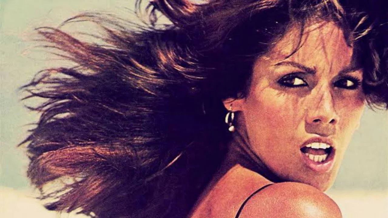 Fondo para Te Contei?
