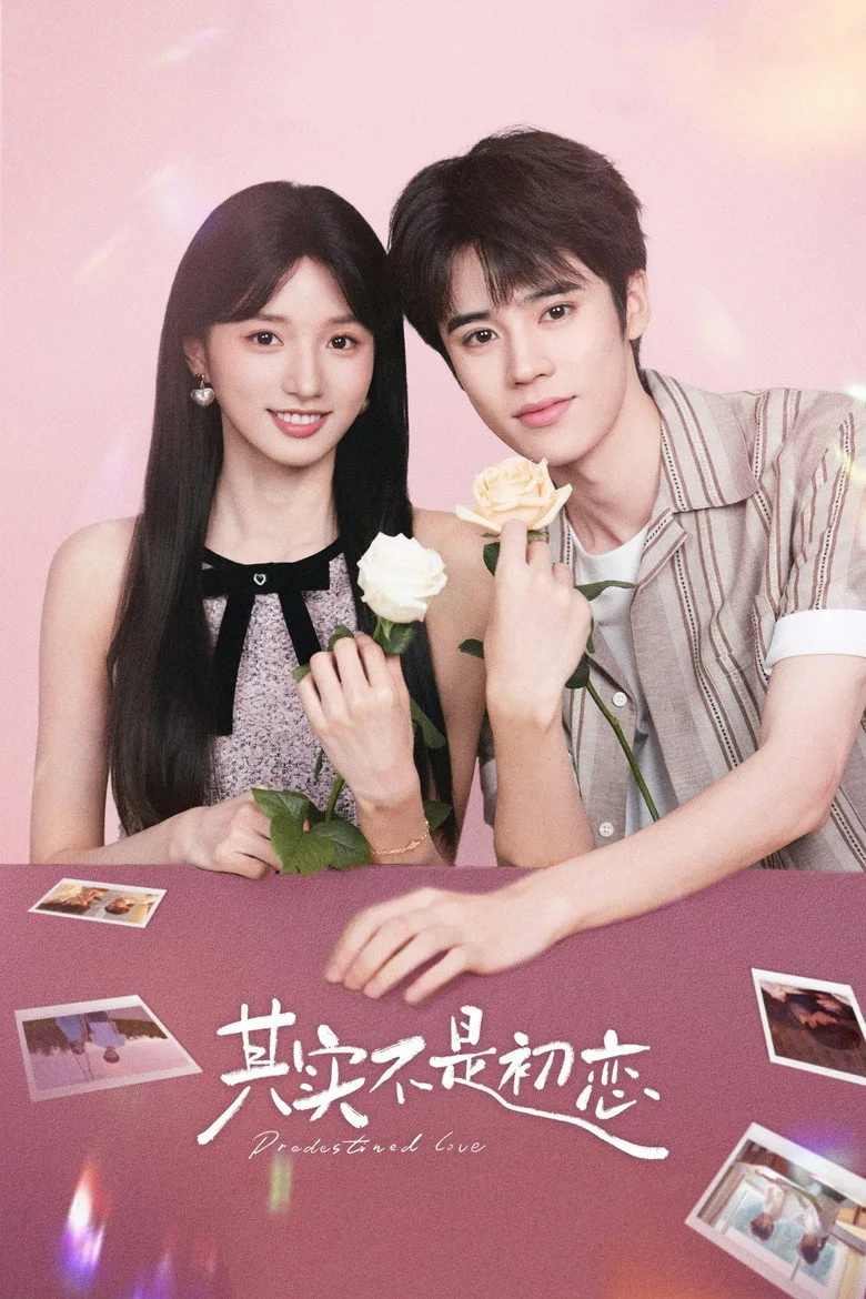 Predestined Love posteri