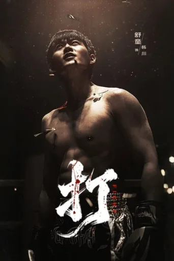 Póster de Fight