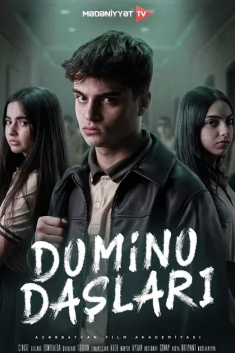 Постер Domino daşları