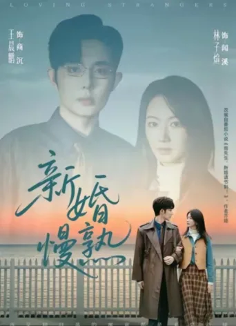 新婚慢熟 afişi
