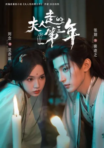 夫人走的第三年 afişi