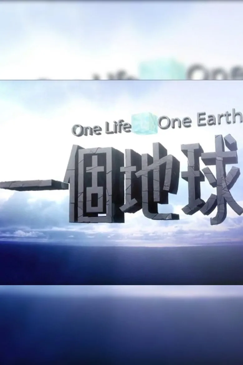 póster de 一個地球