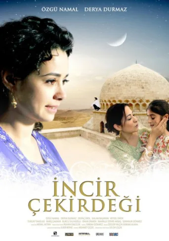 ملصق İncir Çekirdeği