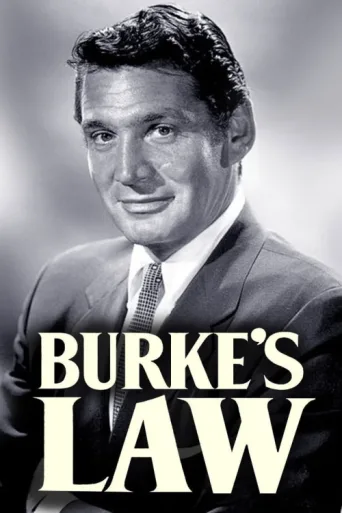 Постер Burke's Law