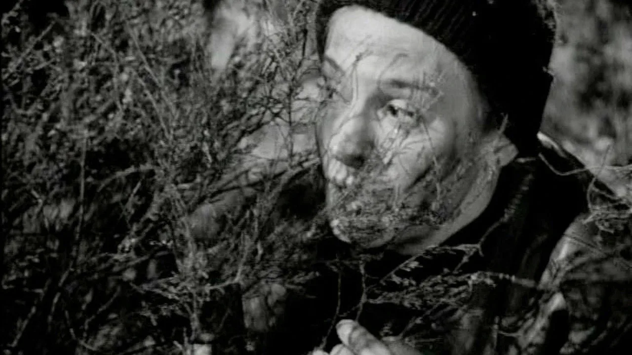 Espionage