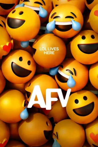 Постер America's Funniest Home Videos