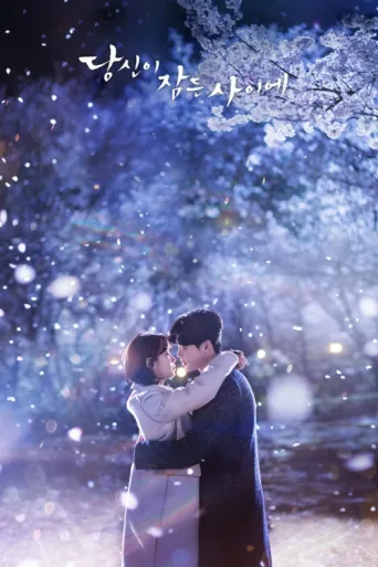 Póster de While You Were Sleeping