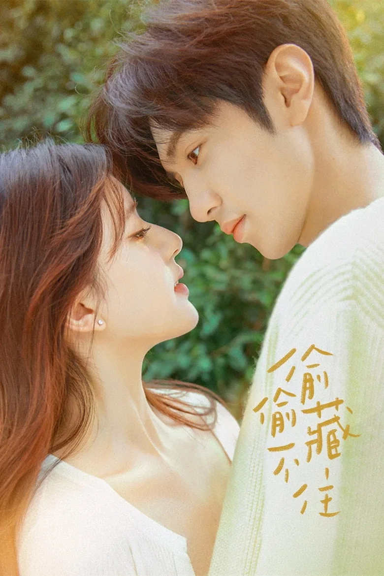 Hidden Love posteri