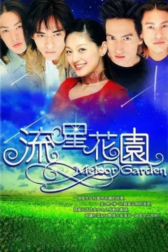 ملصق Meteor Garden