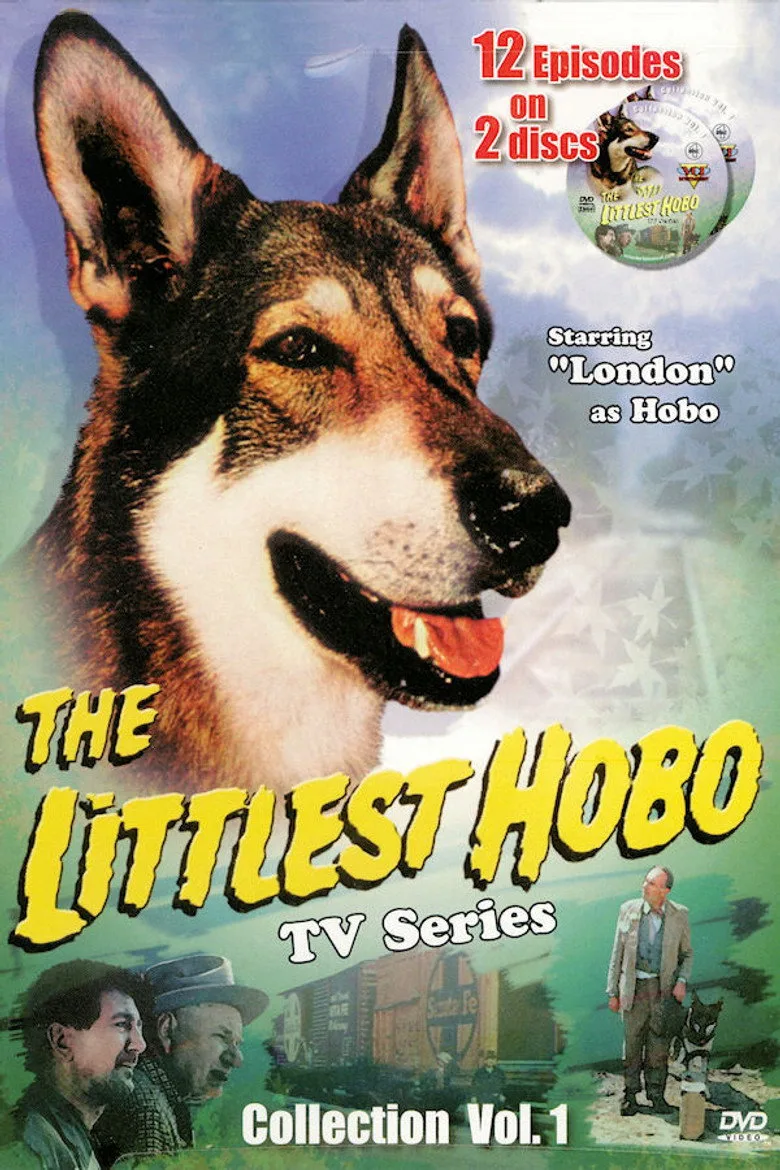 Credit poster