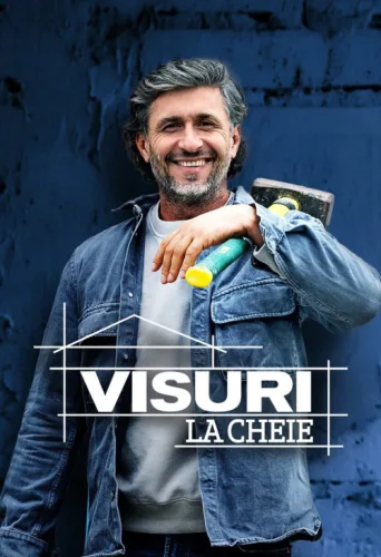 ملصق Visuri la cheie