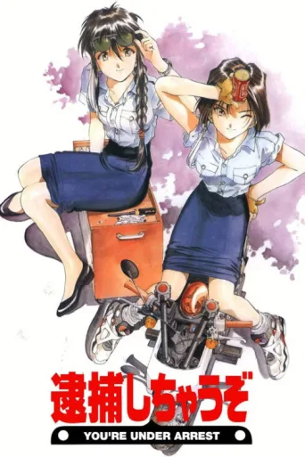 Póster de You're Under Arrest!