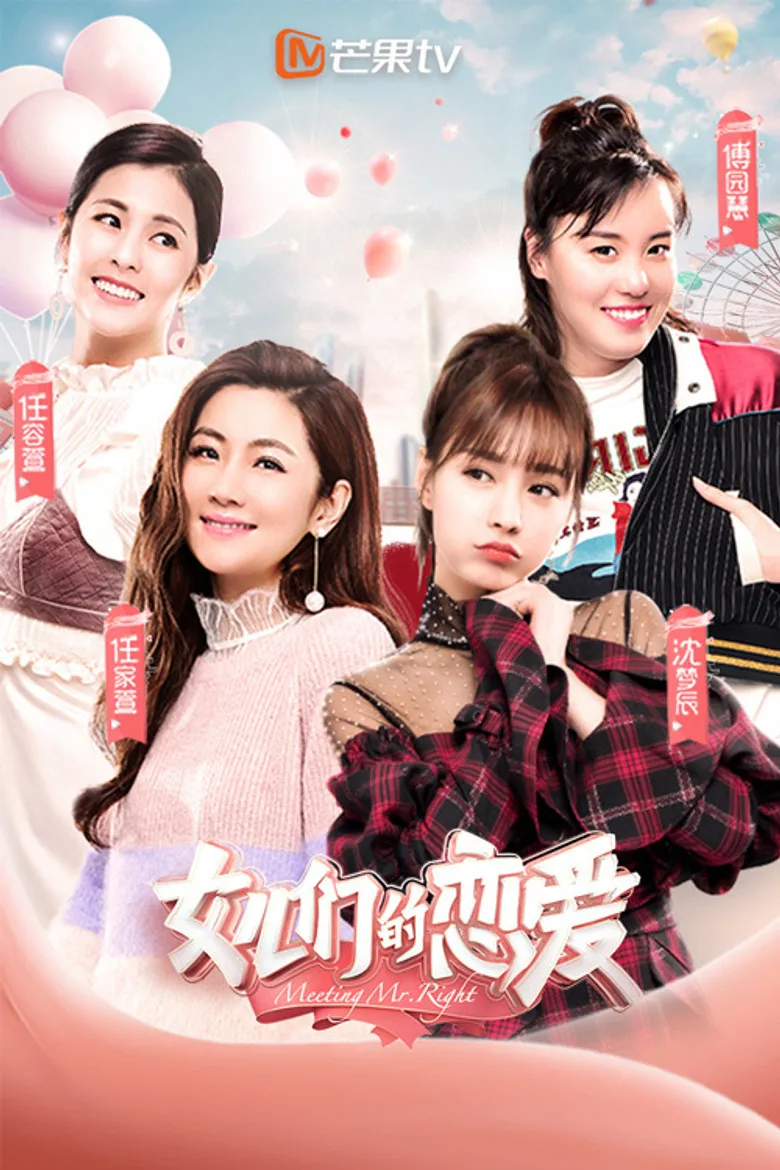Meeting Mr. Right posteri