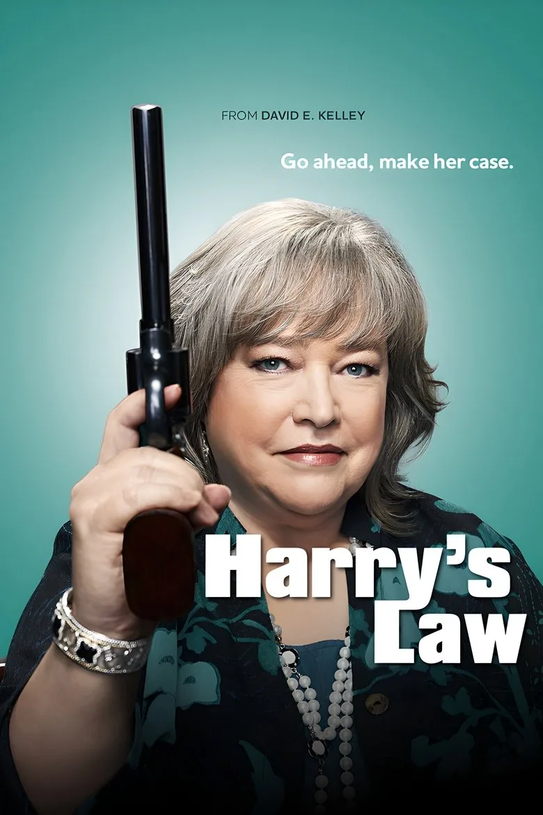 постер Harry's Law