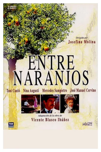 Póster de Entre naranjos