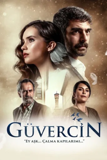 Póster de Güvercin