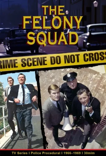 Póster de Felony Squad