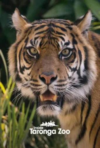 Постер Inside Taronga Zoo