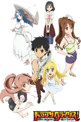ملصق Dragon Crisis!