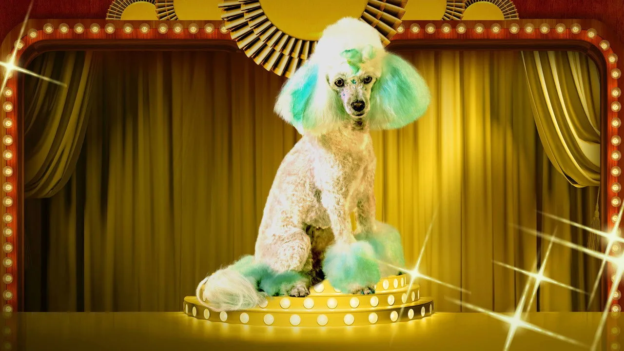 Haute Dog için arka plan görseli