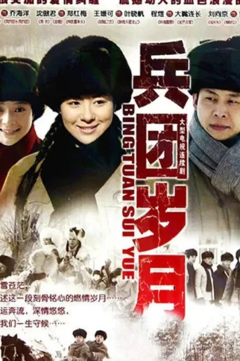 兵团岁月 afişi