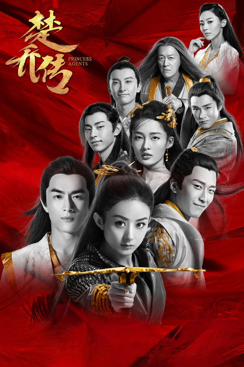 póster de Princess Agents
