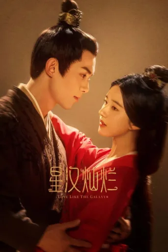 Poster for Love Like the Galaxy