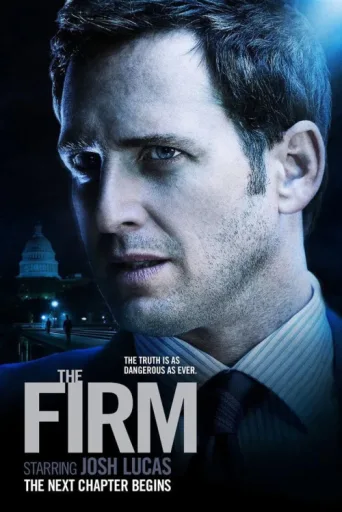 Póster de The Firm