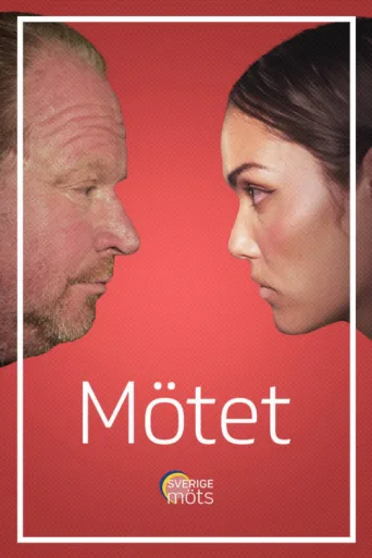 ملصق Mötet