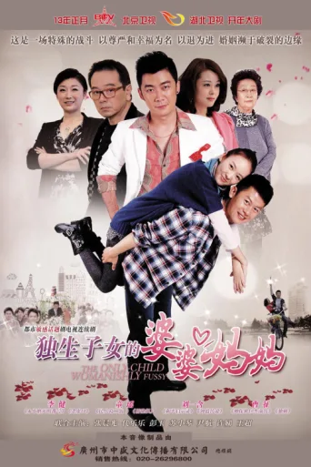 Póster de 独生子女的婆婆妈妈